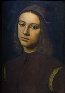 Portrett av en ung mann, 1495